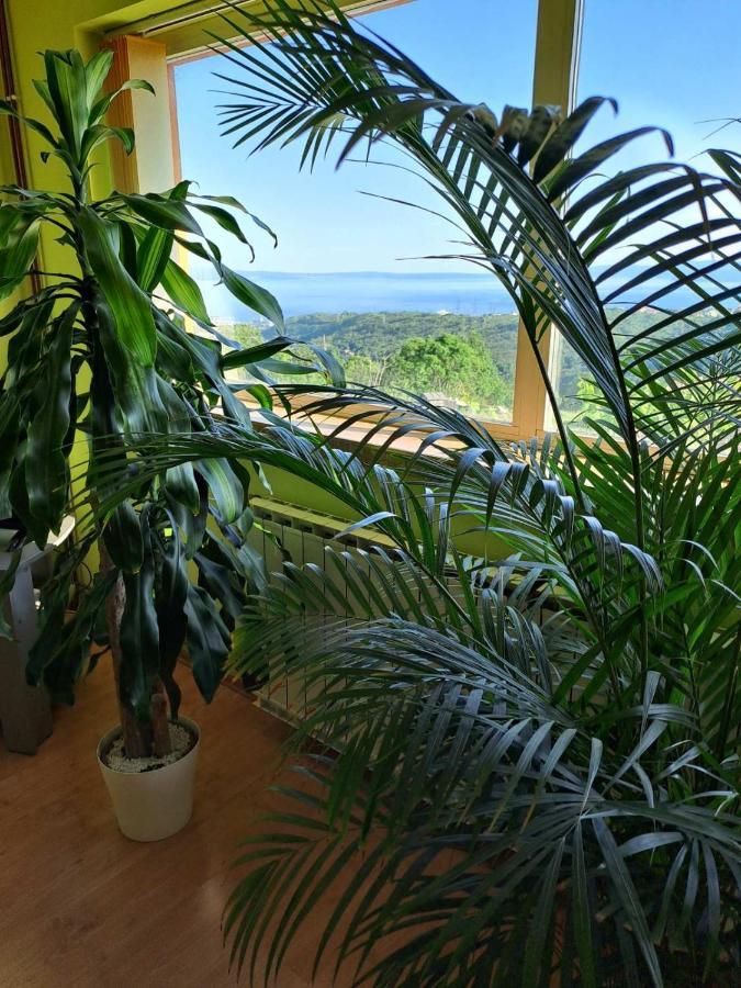 Kuca Za Odmor Vista Mare Villa Marinici  Dış mekan fotoğraf